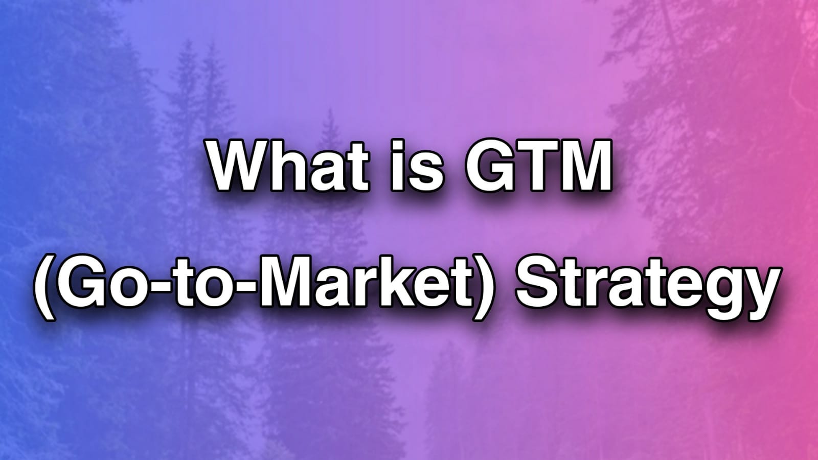 What Is a Go to Market Strategy? GTM Strategy Guide for Digital Marketing